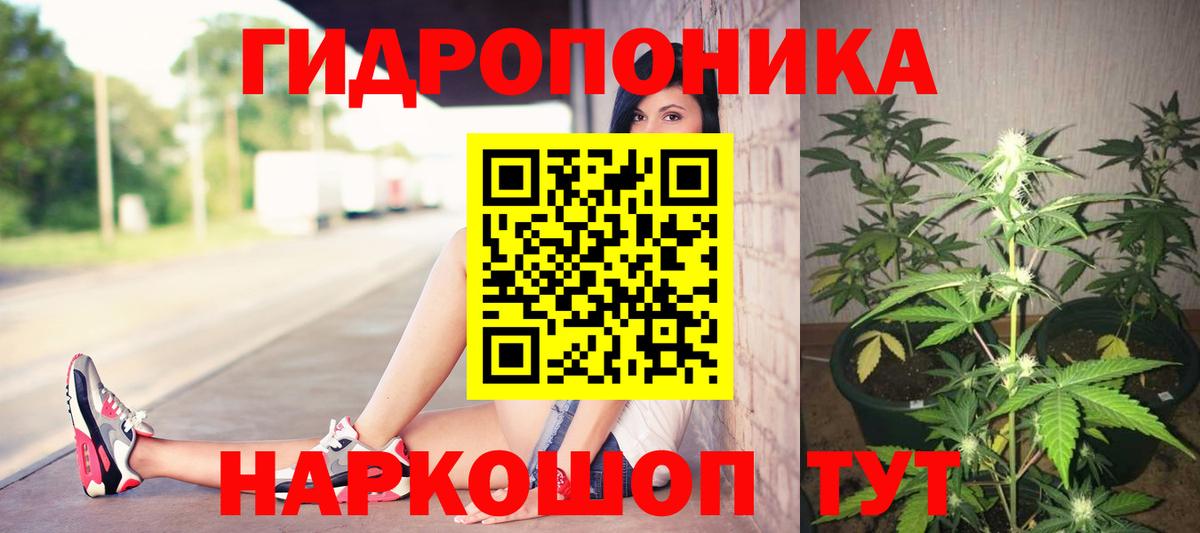 Конопля индика Севастополь